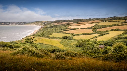 The coast at Golden Cap by St Gabriel's Elm Cottage, Dorset